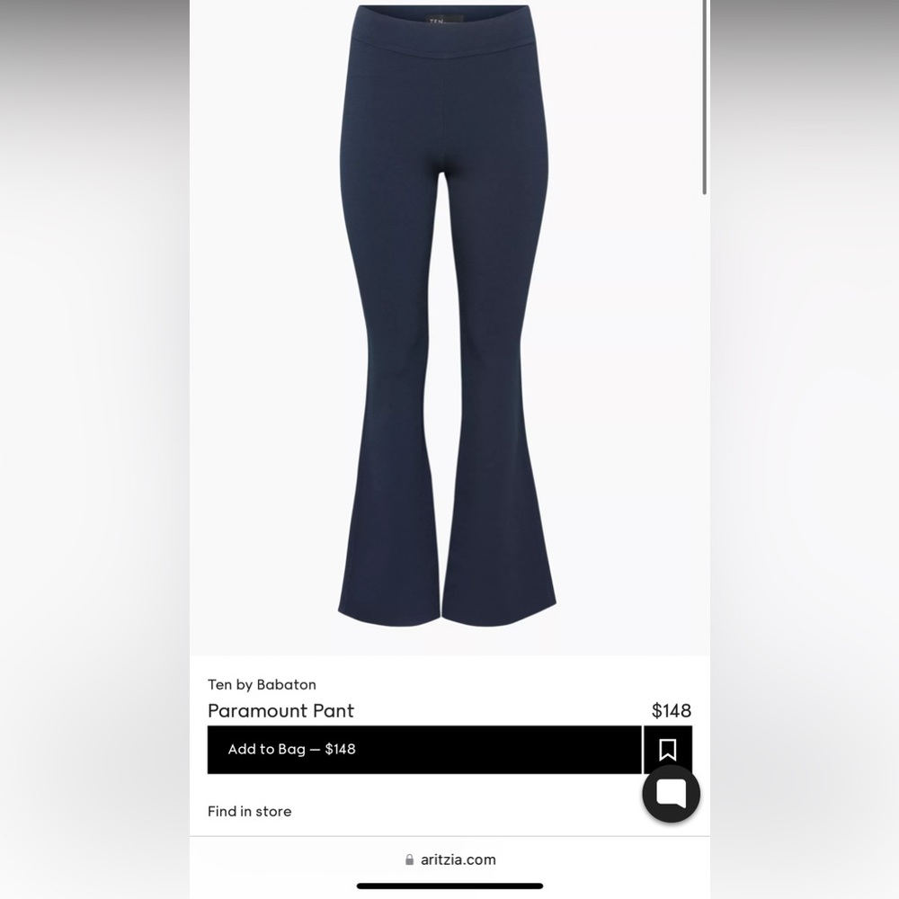 ARITZIA Ten by Babaton paramount pant